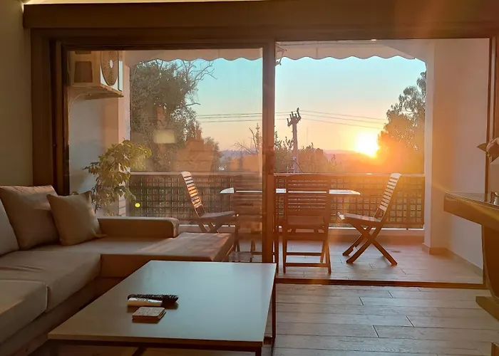 Coryfo Suite 47